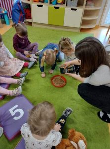 Dzieci siedzą na zielonym dywanie. Pośrodku na czerwonym talerzyku nasiona zbóż