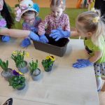 Dzieci w niebieskich rękawiczkach układają ziemię w doniczce na kwiaty. Obok nich na stole leżą wiosenne kwiatki, które będą sadzić do doniczki.