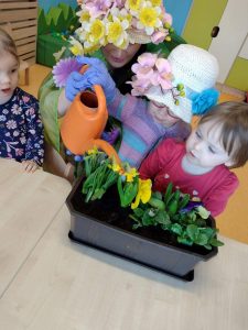 Na stoliku stoi ciemno brązowa doniczka z kwiatami, dzieci ubrane w jednorazowe rękawiczki podlewają pomarańczową konewką posadzone w doniczce kwiatuszki.