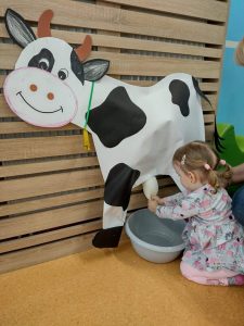 Dziewczynka kuca przy makiecie krówki i rączkami trzyma napełnioną mlekiem rękawiczkę, naśladując dojenie krówki.