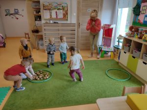 Dzieci biorą udział w konkurencji sportowej, na zielonym dywanie rozłożone są dwa hula-hop , dzieci mają za zadanie przenieść wszystkie ziemniaki z jednego hula-hop do drugiego.