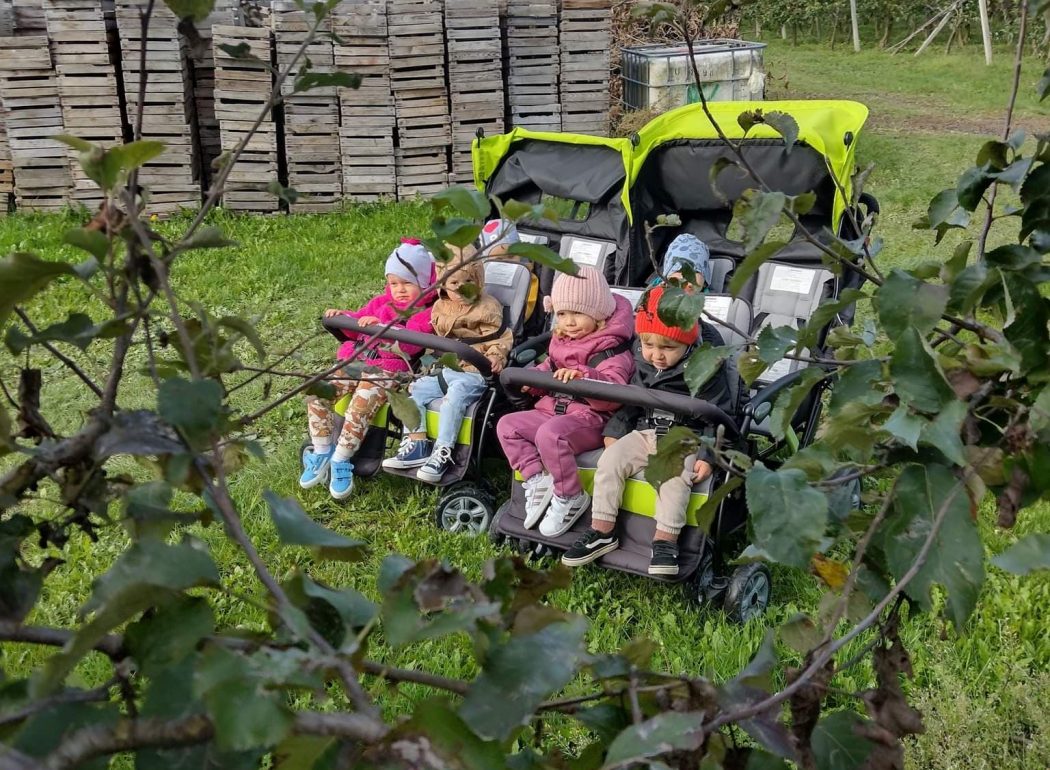 Dzieci siedzą w dwóch wózkach spacerowych na wycieczce w sadzie.