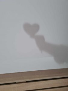 Na zdjęciu widać białą ścianę, a na niej cień dłoni trzymającej serce.